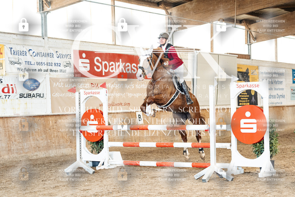 CK904994 | Turnierfotografie Pferdefotografie Trier Rheinland-Pfalz Pferdesport Reitsport Tierfotografie Sportfotografie Pferdevideo Pferdevideografie Equestrianvideography equestrianphotography  - Realized with Pictrs.com