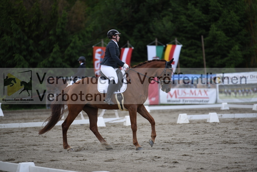 DSC_6427 | equestrian-live-com