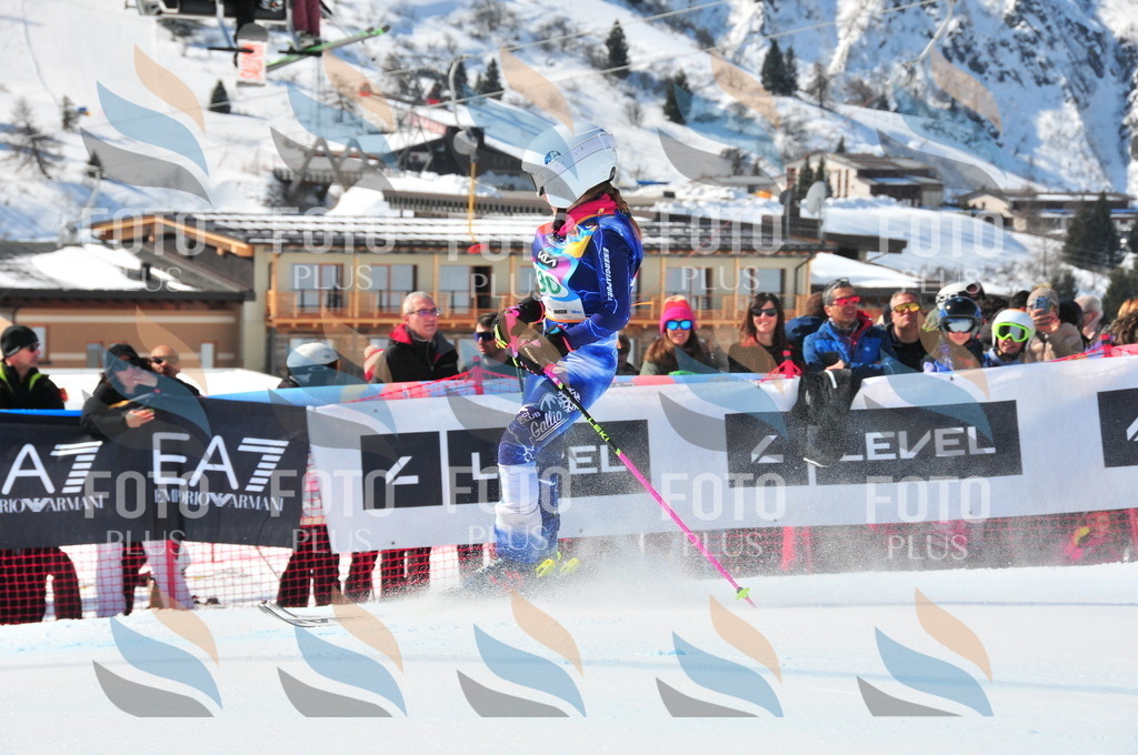 DSC_1054 | holidayphoto