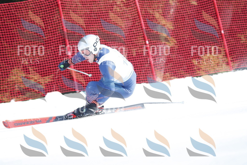 D7355 | holidayphoto