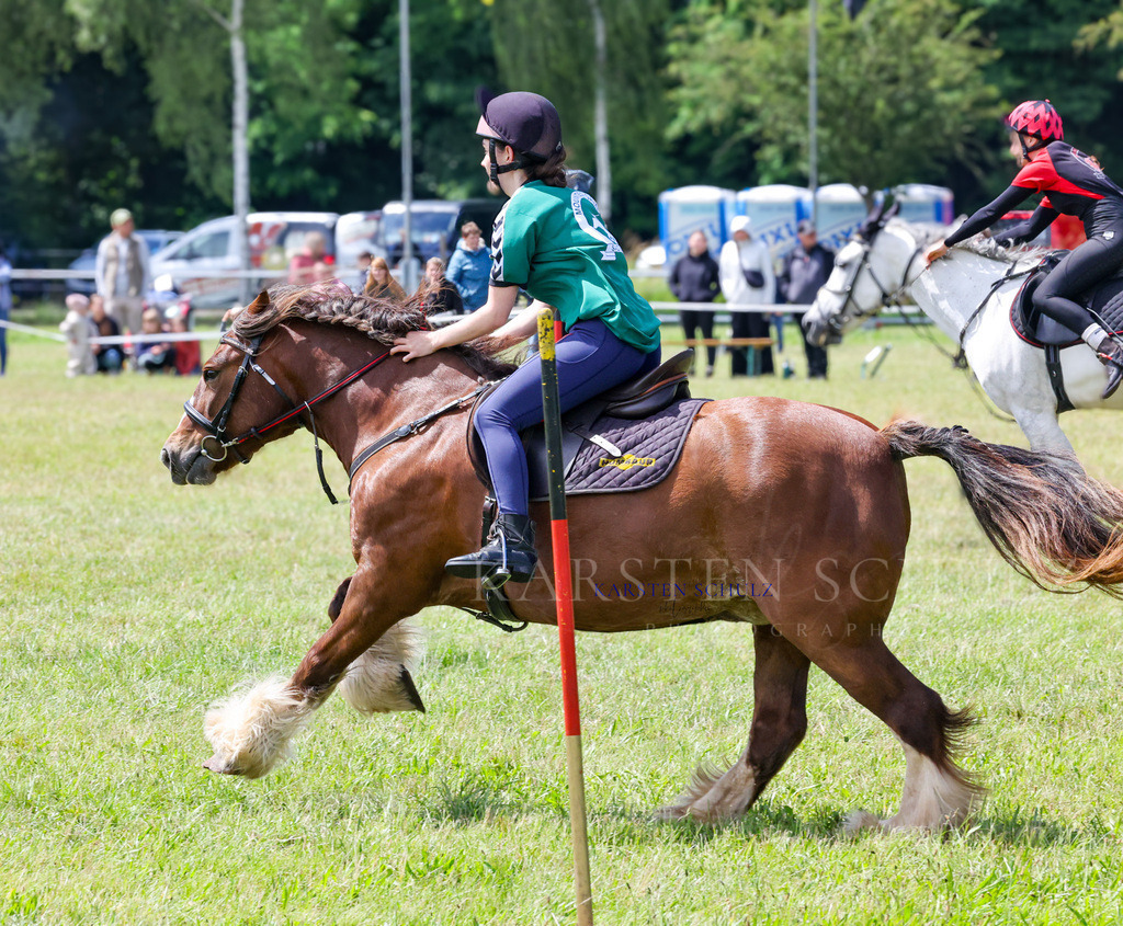 1B3A2275 | Reitsport Reiten