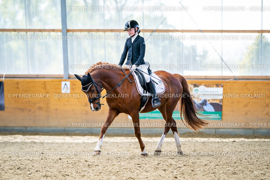 DSC05177 | Pferdegrafie