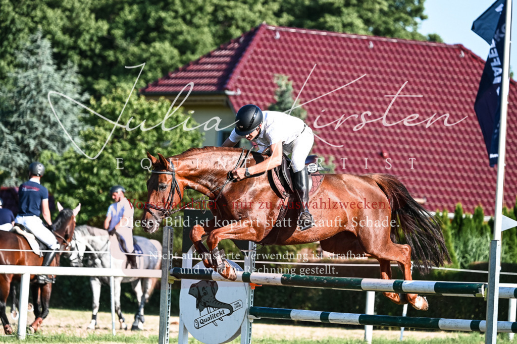 DSC_2743 | Pferde- und Turnierfotografie in Westsachsen. Pferdeportraits, Auftragszeichnungen und intuitive Kunst.