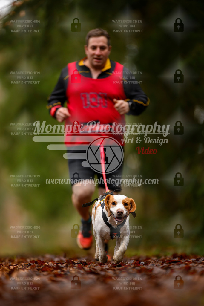 MompixPhotography_2SSTSSBW_2025_SO_Canicross-60 | PayLife