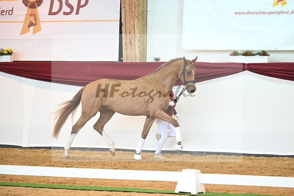 Kat-Nr. 56 v. Vivaldos_Fischer_66220821 | hf-fotografie - Realisiert mit Pictrs.com