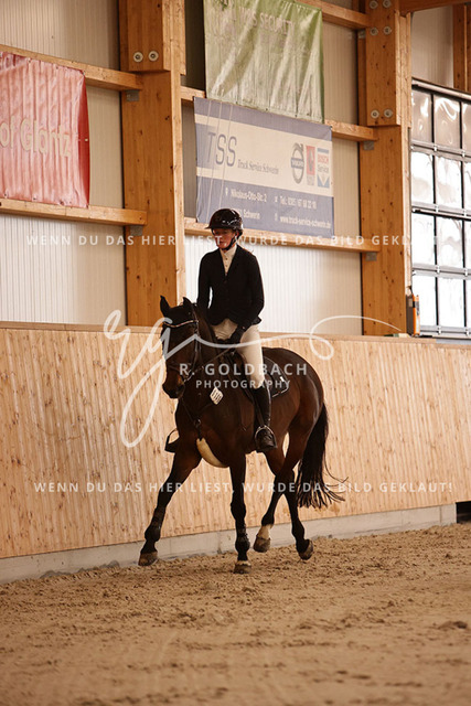 1J2A2710Hanna Nagel_ Rewell 2_ Kn441_ Hohen Wieschendorf_ Glantz | Foto- und Videografie für alles rund ums Pferd. Hochwertige Bilder und Videos vom Spring- und Dressurreiten, Voltigieren & mehr. Jetzt aktuelle Veranstaltungen und Preise im Shop ansehen. - Realisiert mit Pictrs.com