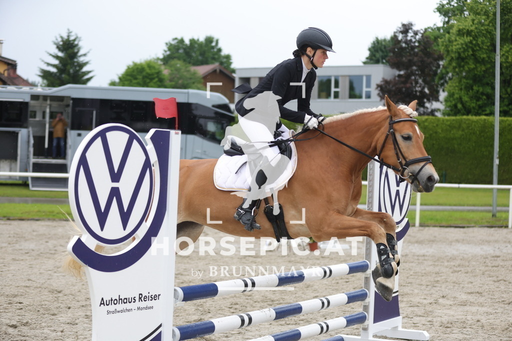 0P6A7947 | Willkommen bei Brunnmayr - Design & Fotografie – Ihrem Spezialisten für Reitturniere und Pferdeveranstaltungen in Oberösterreich, Salzburg und Bayern! Seit über 17 Jahren sind wir leidenschaftlich dabei.