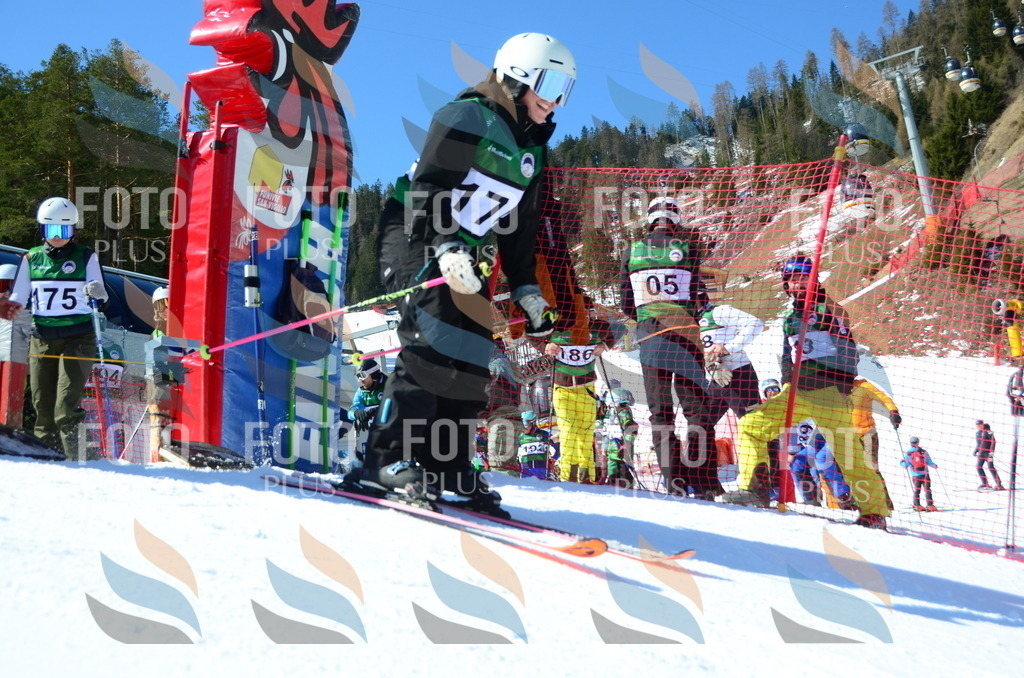 C6335 | holidayphoto