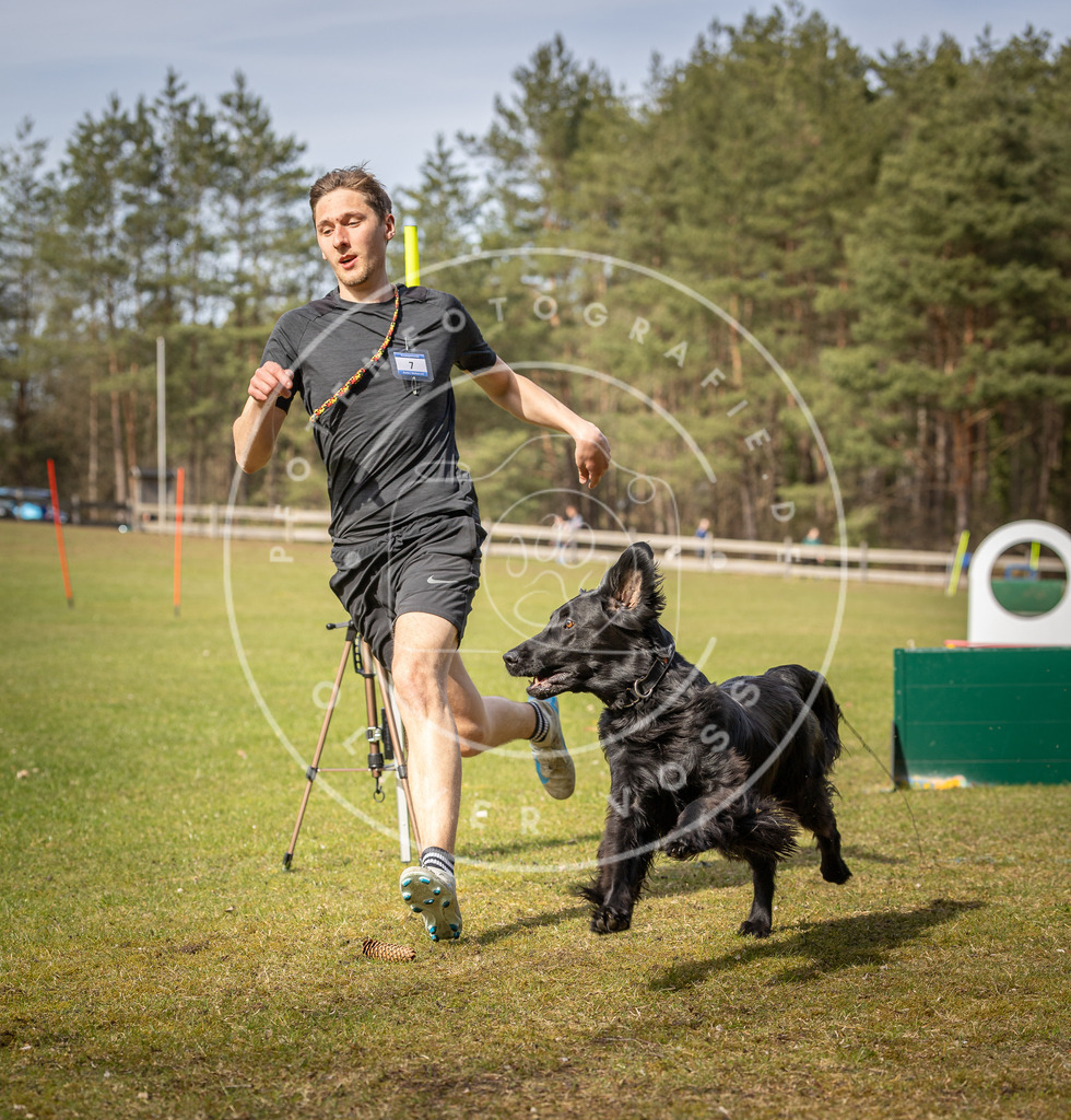 Pfotenfotografie_DV3A0443 | Hundefotografie, Tierfotograf, Pfotenfotografie, Fotoshooting Hund, Hunde Portrait, Hundesport, Hundeportraits, Heideshooting, Hunde, Sportfotograf, Hundefotograf, Turnierhundsport, THS,  - Realisiert mit Pictrs.com