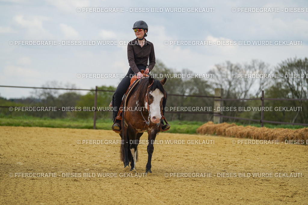 DSC06713 | Pferdegrafie