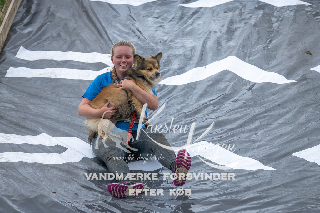 1539_ZZ94700 | kk-dogfotos