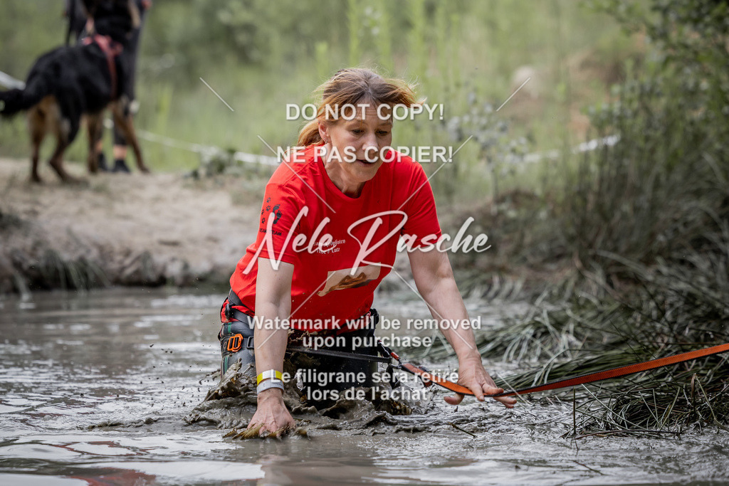 nelerasche_so0800-0930_311 | nelerasche