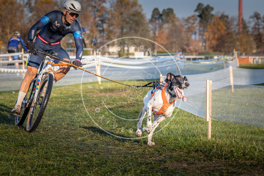 CaniXpix_0L8A3689 | Hundefotografie, Tierfotograf, Pfotenfotografie, Fotoshooting Hund, Hunde Portrait, Hundesport, Hundeportraits, Heideshooting, Hunde, Sportfotograf, Hundefotograf, Turnierhundsport, THS,  - Realisiert mit Pictrs.com