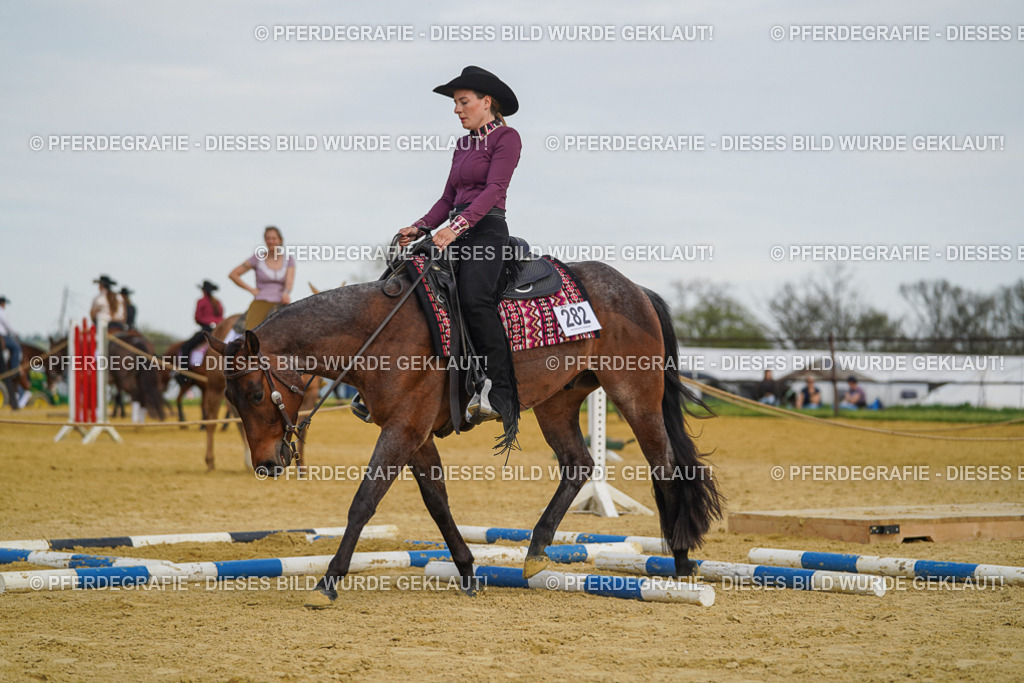 DSC05076 | Pferdegrafie