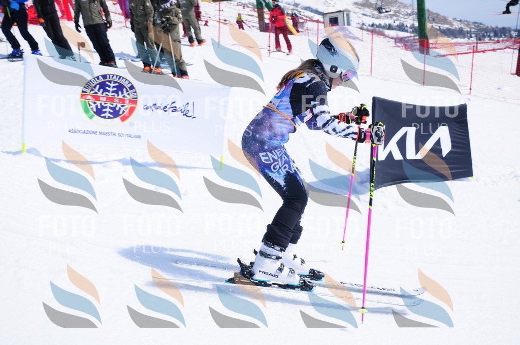 DSC_5535 | holidayphoto