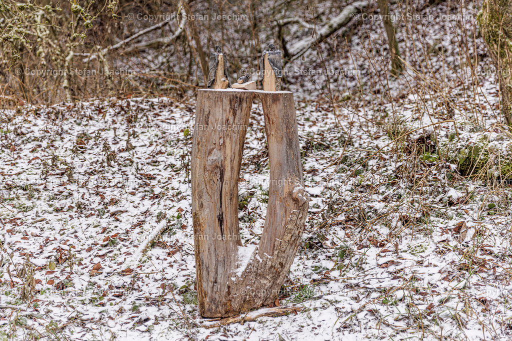 Titel | Fotografien von Stefan Joachim aus vielen Bereichen. Landschaft, Streetart, Natur, Allgäu, Berge. - Realisiert mit Pictrs.com