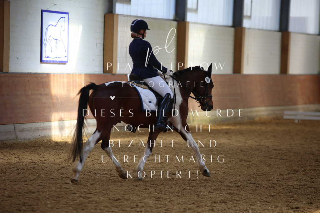 IMGT4651 | pl-fotografie