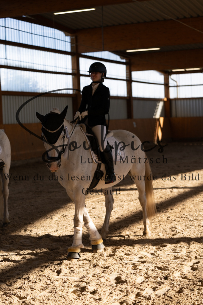 A7V01807 | Turnier/Reitfotograf