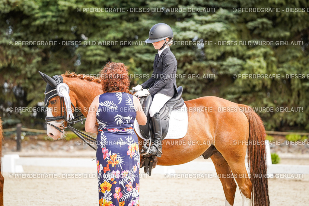 DSC02628 | Pferdegrafie