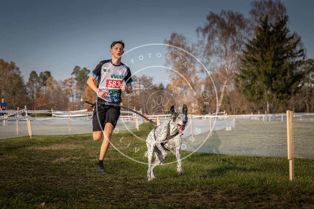 CaniXpix_0L8A9600 | Hundefotografie, Tierfotograf, Pfotenfotografie, Fotoshooting Hund, Hunde Portrait, Hundesport, Hundeportraits, Heideshooting, Hunde, Sportfotograf, Hundefotograf, Turnierhundsport, THS,  - Realisiert mit Pictrs.com
