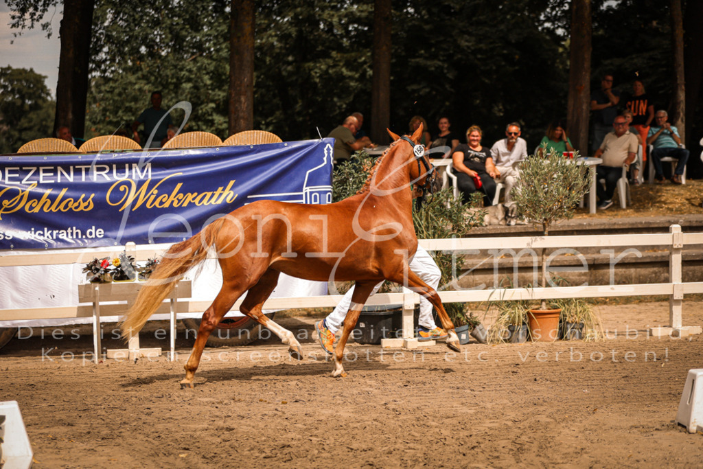 10.So00096 | Leoni Ertmer Photography - Realisiert mit Pictrs.com