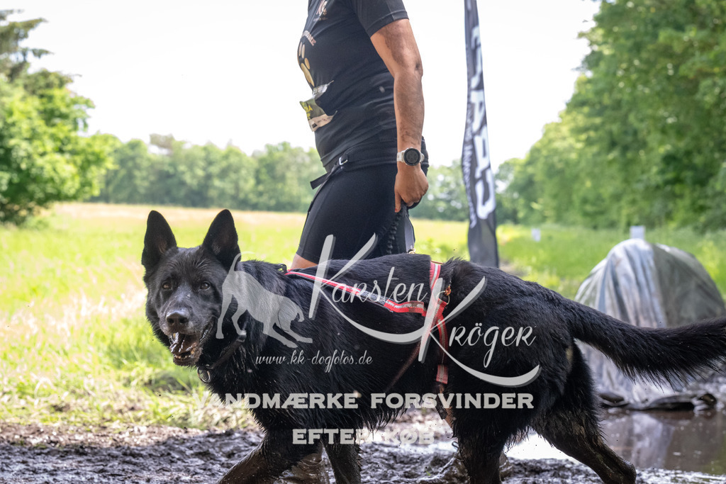 1230_ZZ92603 | kk-dogfotos