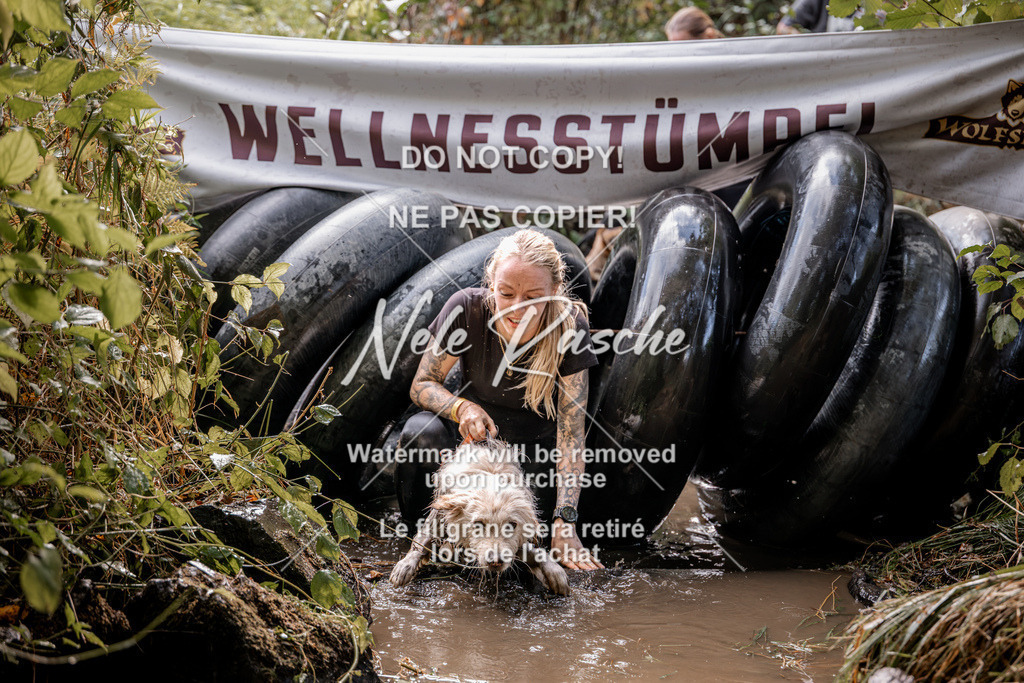 nelerasche_Hunsrück2026_Sa1400-1500_258 | nelerasche