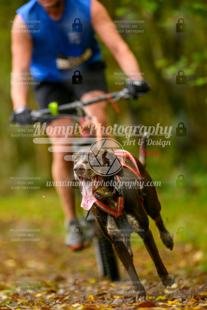 MompixPhotography_20TSB_E1_Doppel-14 | PayLife