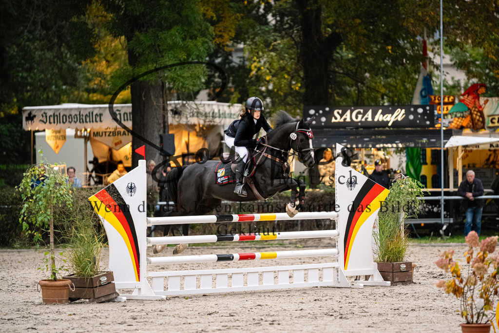 A7V08738 | Pferdefotograf