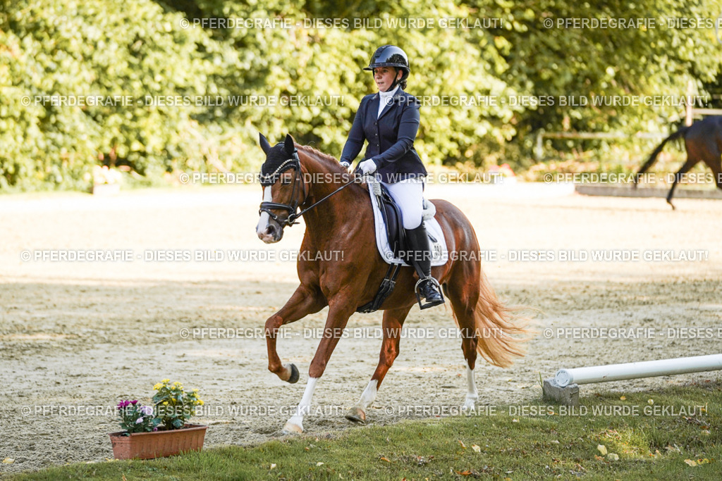 DSC06299 | Pferdegrafie