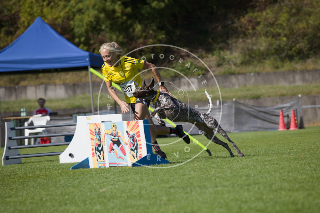 0L8A7805 | Hundefotografie, Tierfotograf, Pfotenfotografie, Fotoshooting Hund, Hunde Portrait, Hundesport, Hundeportraits, Heideshooting, Hunde, Sportfotograf, Hundefotograf, Turnierhundsport, THS,  - Realisiert mit Pictrs.com