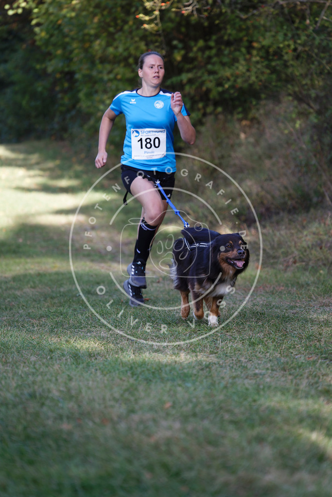 0L8A5446 | Hundefotografie, Tierfotograf, Pfotenfotografie, Fotoshooting Hund, Hunde Portrait, Hundesport, Hundeportraits, Heideshooting, Hunde, Sportfotograf, Hundefotograf, Turnierhundsport, THS,  - Realisiert mit Pictrs.com