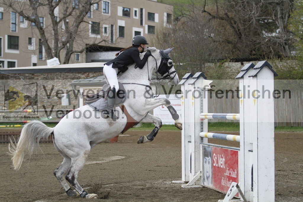 _MG_6492 | equestrian-live-com