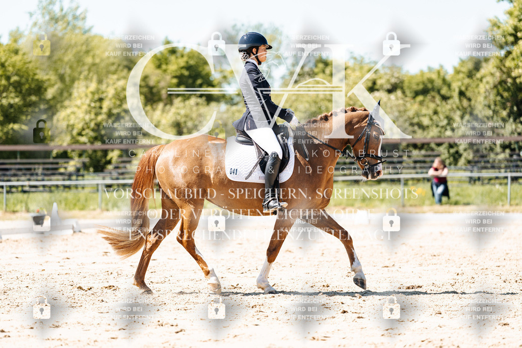 CK905657 | Turnierfotografie Pferdefotografie Trier Rheinland-Pfalz Pferdesport Reitsport Tierfotografie Sportfotografie Pferdevideo Pferdevideografie Equestrianvideography equestrianphotography  - Realisiert mit Pictrs.com