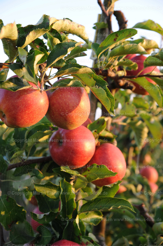 DSC_92796357 | Fotos aus den Touristenorten aus Norddeutschland. - Realisiert mit Pictrs.com