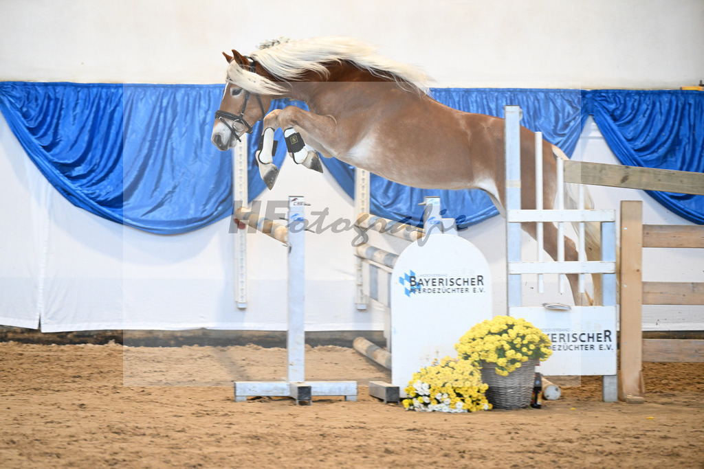 Kat-Nr. 33 Nokiano B v. Novastar_Bleicher_48250680 | hf-fotografie - Realisiert mit Pictrs.com