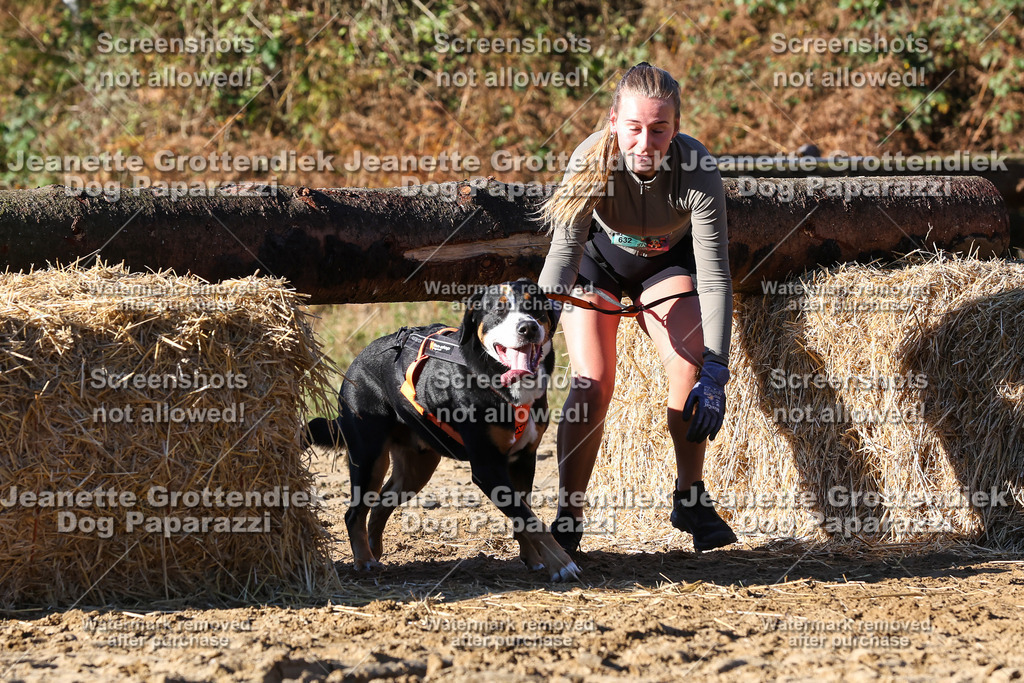 Dog Paparazzi - Strongdog 10-25-1795 | Dog Paparazzi Jeanette Grottendiek Fotografie & Videografie - Realisiert mit Pictrs.com