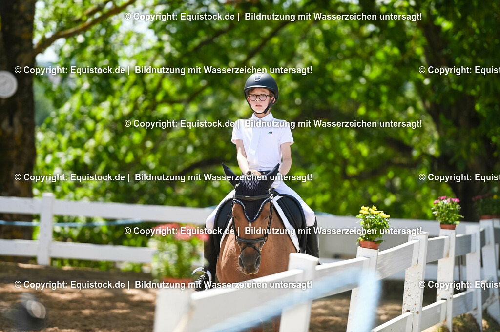 20230715_09_Dressur-WB_0372 | equistock