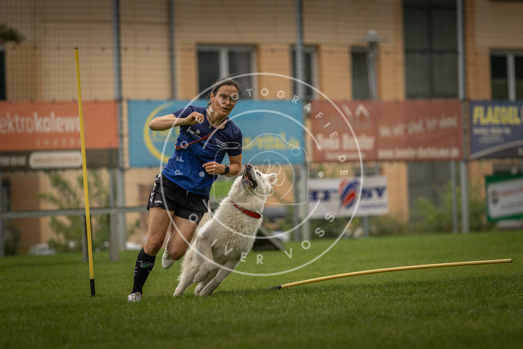 Pfotenfotografie_DV3A7942 | Hundefotografie, Tierfotograf, Pfotenfotografie, Fotoshooting Hund, Hunde Portrait, Hundesport, Hundeportraits, Heideshooting, Hunde, Sportfotograf, Hundefotograf, Turnierhundsport, THS,  - Realisiert mit Pictrs.com