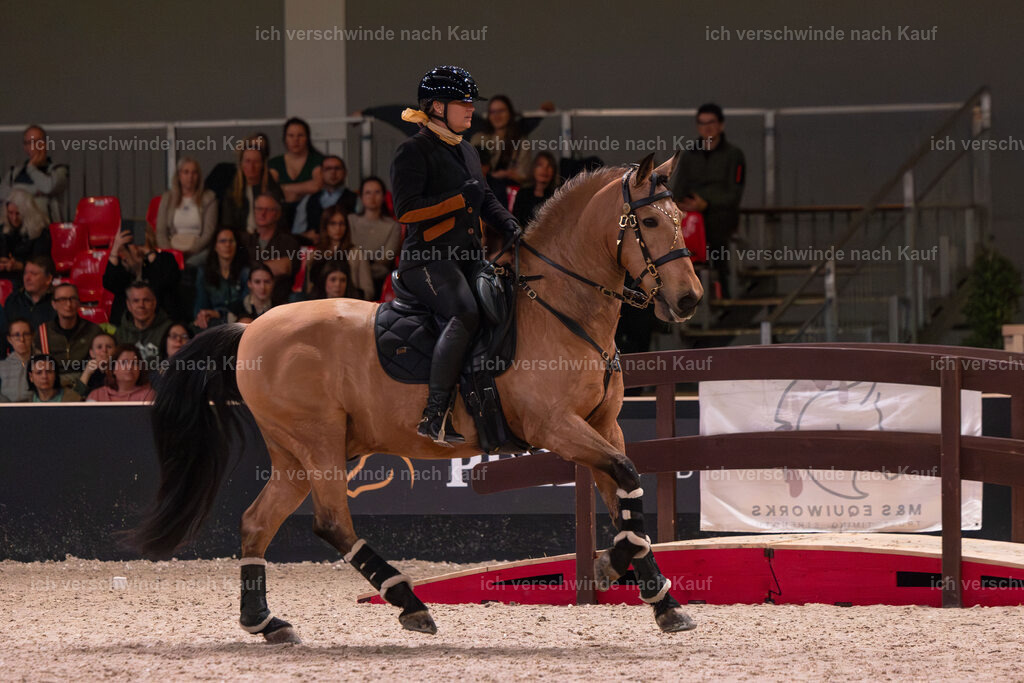 JoseraCup-135 | working equitationturnier fotograf videograf stoibphotography marixx film working equitation deutschland reitsport turnierfotografie eventfotografie equestrian events