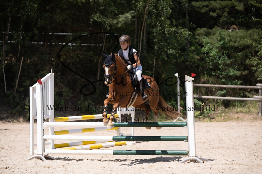 A7V08446 | Pferdefotograf