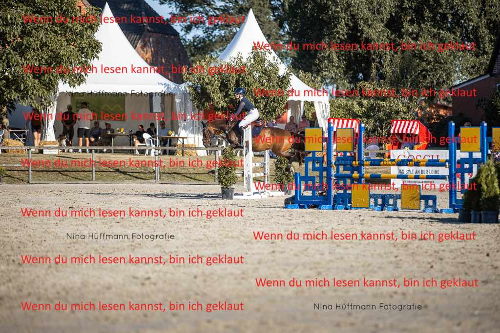 BK1A7829 | Turnierbilder Turnierfotos Nina Hüffmann Turnierfotografie Pferdefotografie Tierzeichnung Haustierzeichnung Pferdezeichnung Hundezeichnung Videograf  - Realisiert mit Pictrs.com