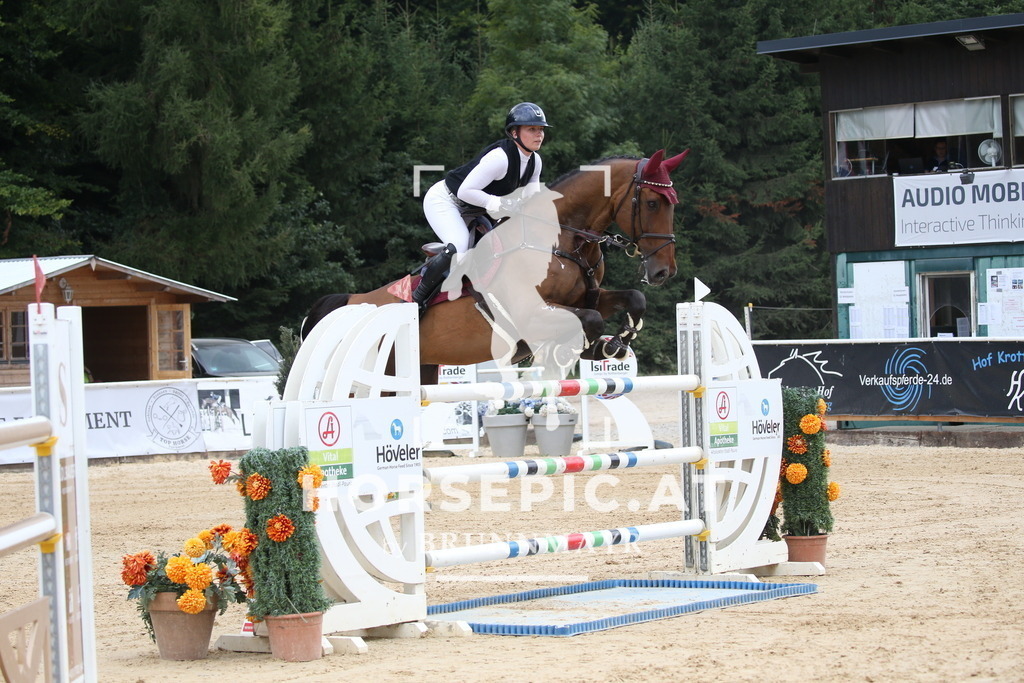 DL2Q4973 | Willkommen bei Brunnmayr - Design & Fotografie – Ihrem Spezialisten für Reitturniere und Pferdeveranstaltungen in Oberösterreich, Salzburg und Bayern! Seit über 17 Jahren sind wir leidenschaftlich dabei.