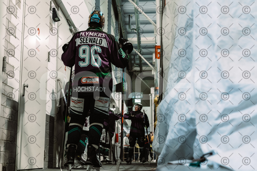 Alligators_vs_Bayreuth_10_2025-02 | Höchstadt Alligators Fotogalerie: Eishockey-Action aus Franken. Professionelle Spielfotos, Portraits & Stadionbilder zum Download. Jetzt entdecken! - Realisiert mit Pictrs.com