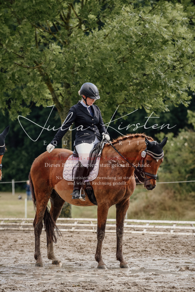 DSC_8977 | Pferde- und Turnierfotografie in Westsachsen. Pferdeportraits, Auftragszeichnungen und intuitive Kunst.
