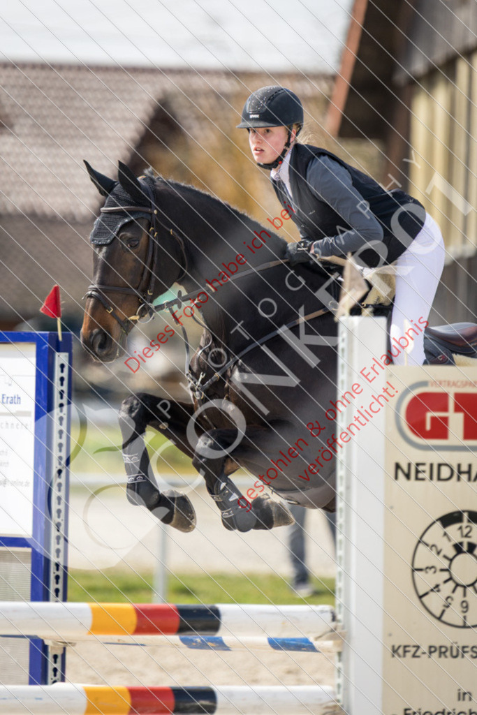 IMG_4357 | Sport-, Event- und Tierfotos in Profiqualität. Einfach auswählen, bestellen und herunterladen. Dein Moment – perfekt festgehalten.