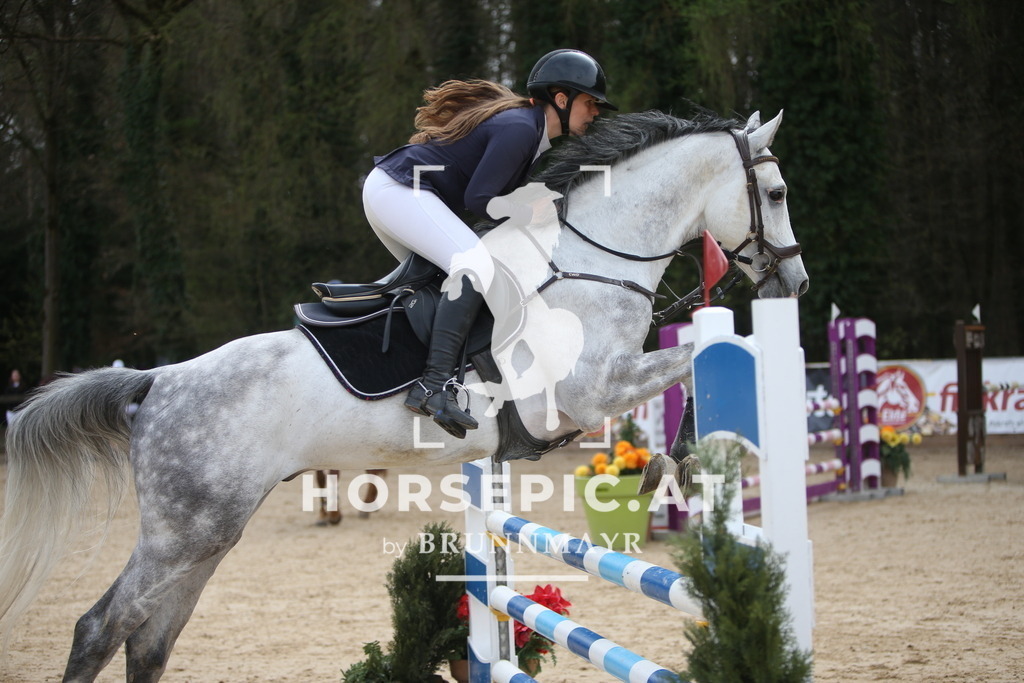 PP017525 | Willkommen bei Brunnmayr - Design & Fotografie – Ihrem Spezialisten für Reitturniere und Pferdeveranstaltungen in Oberösterreich, Salzburg und Bayern! Seit über 17 Jahren sind wir leidenschaftlich dabei.