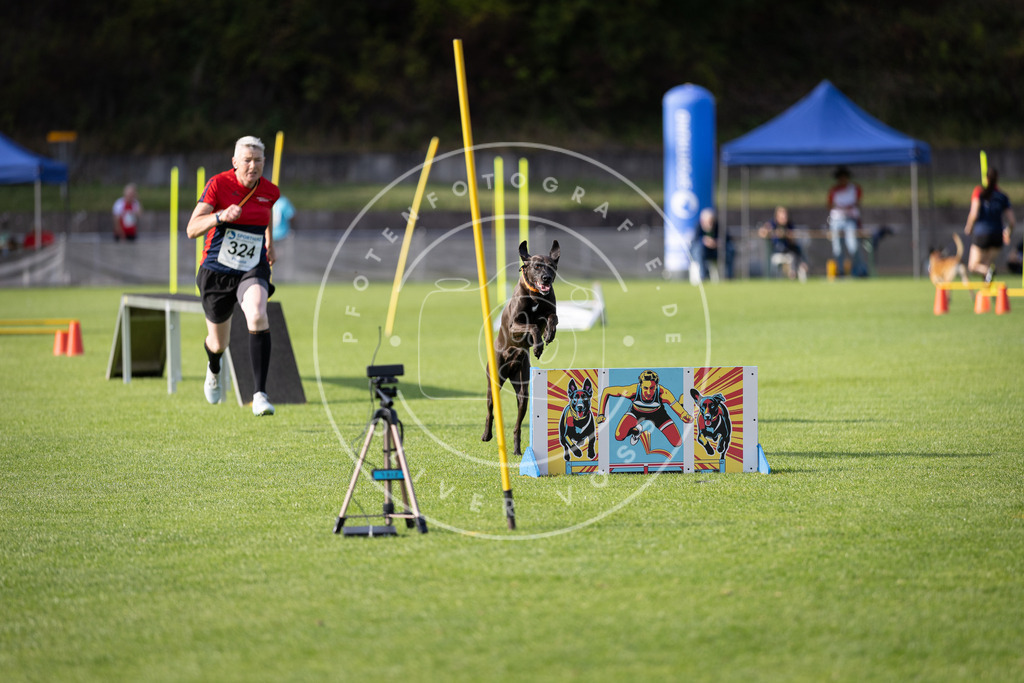 Pfotenfotografie_DV3A2625 | Hundefotografie, Tierfotograf, Pfotenfotografie, Fotoshooting Hund, Hunde Portrait, Hundesport, Hundeportraits, Heideshooting, Hunde, Sportfotograf, Hundefotograf, Turnierhundsport, THS,  - Realisiert mit Pictrs.com