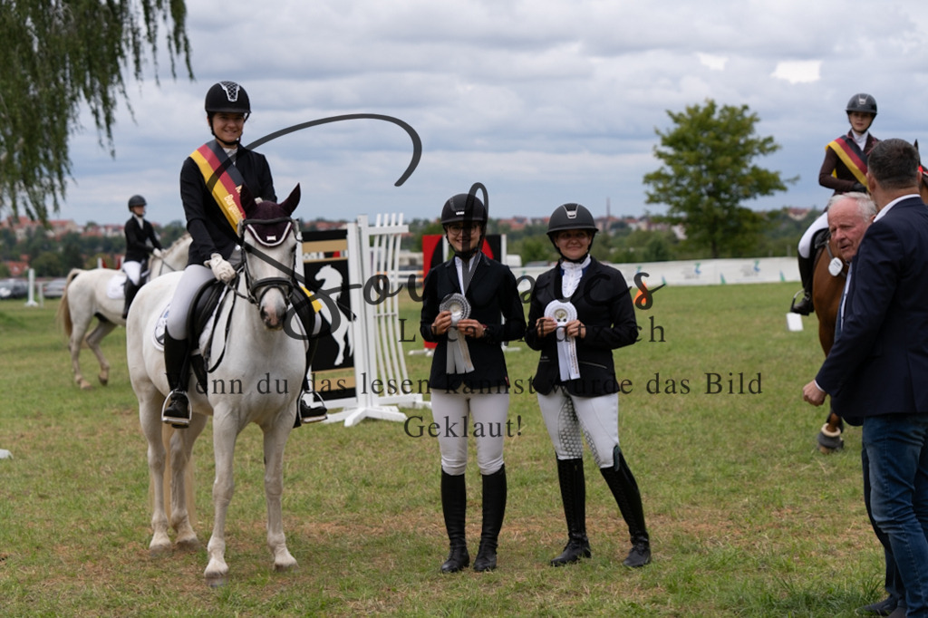 A7V06112 | Pferdefotograf