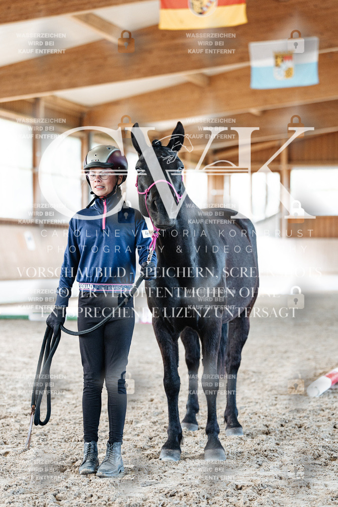 CK905991 | Turnierfotografie Pferdefotografie Trier Rheinland-Pfalz Pferdesport Reitsport Tierfotografie Sportfotografie Pferdevideo Pferdevideografie Equestrianvideography equestrianphotography  - Realisiert mit Pictrs.com